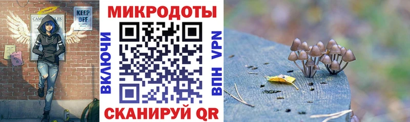MEGA ONION Сургут Галлюциногенные грибы MAGIC MUSHROOMS